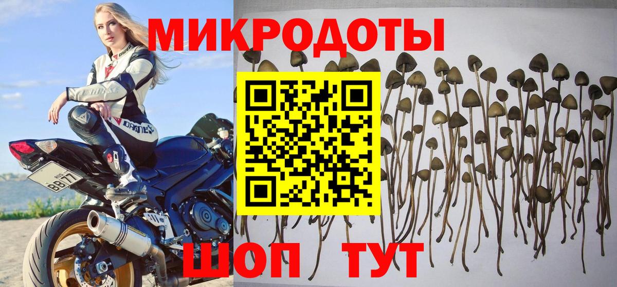 Галлюциногенные грибы MAGIC MUSHROOMS  Вход с VPN  Ачхой-Мартан 