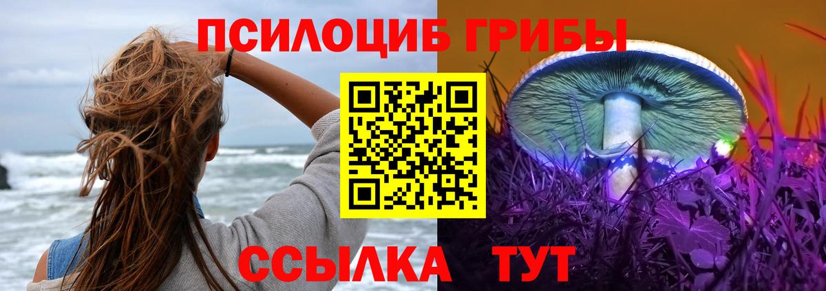 Галлюциногенные грибы GOLDEN TEACHER Ачхой-Мартан